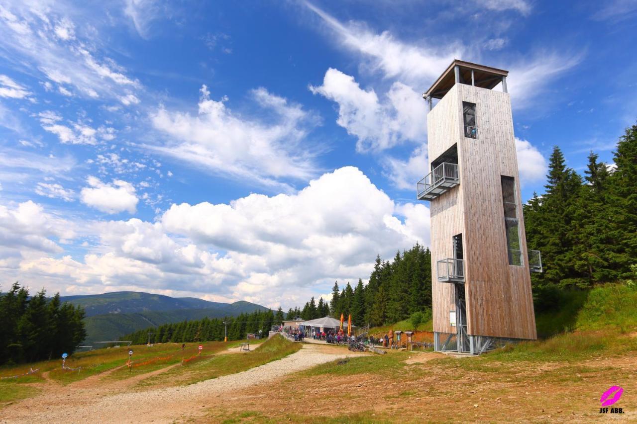 Apartmany Sophia 5 A 6 Velké Losiny Exterior foto